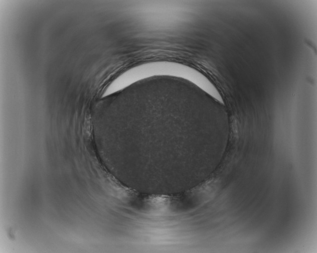 X0000099490325200806051104