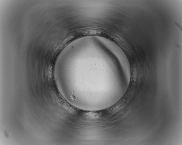 X0000099490326200806051104