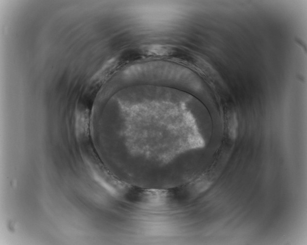 X0000099490328200806051104