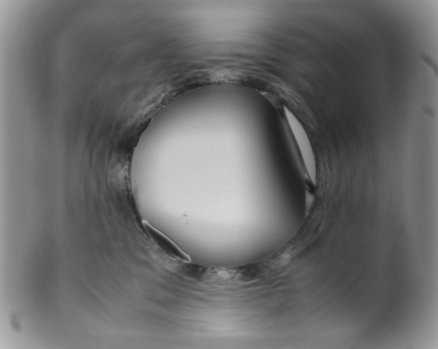 X0000099490329200806051104