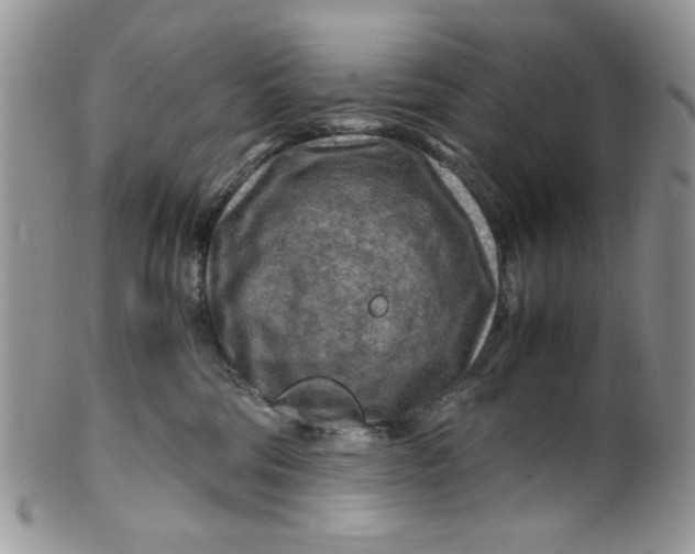 X0000099490330200806051104