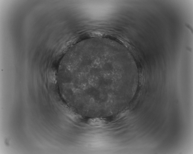 X0000099490331200806051104