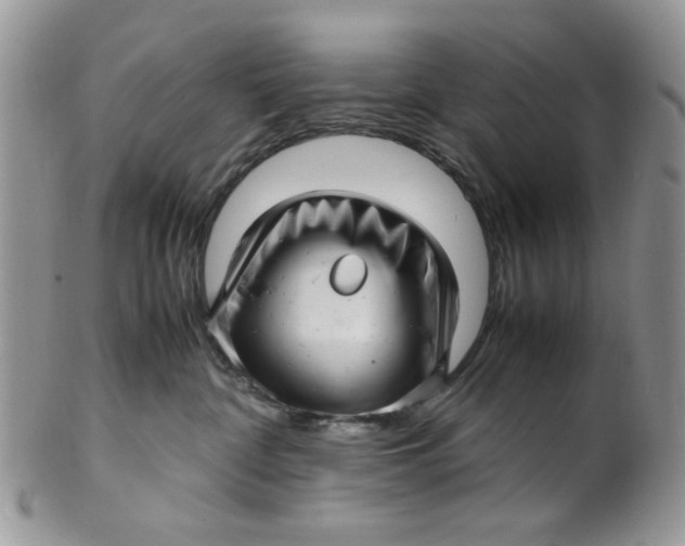 X0000099490332200806051104