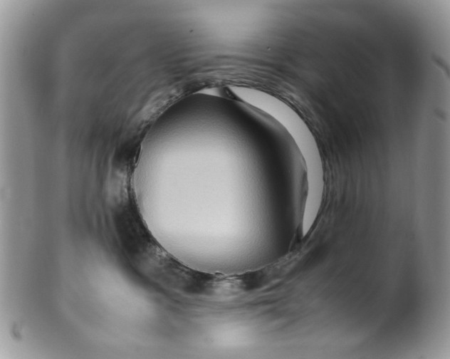 X0000099490333200806051104