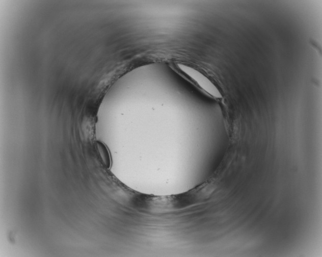 X0000099490335200806051104