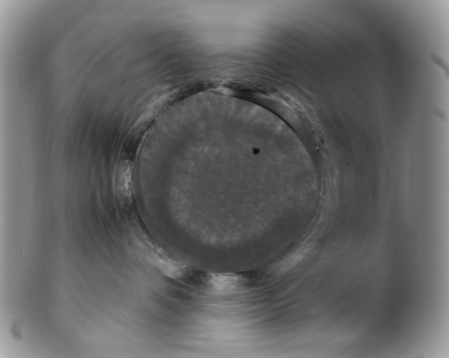 X0000099490336200806051104