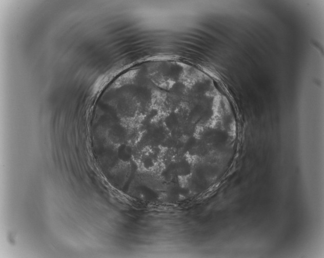 X0000099490337200806051103