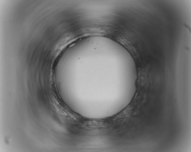 X0000099490338200806051103