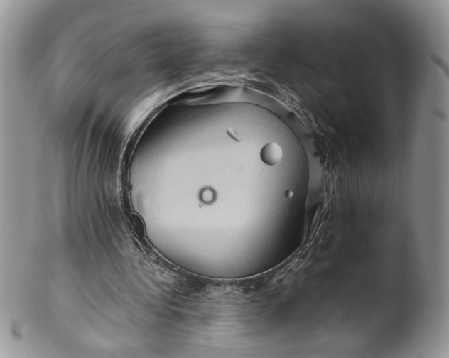 X0000099490340200806051103