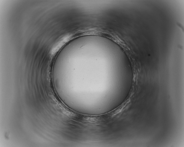 X0000099490341200806051103