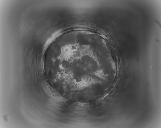 X0000099490343200806051104