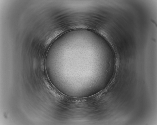 X0000099490345200806051104