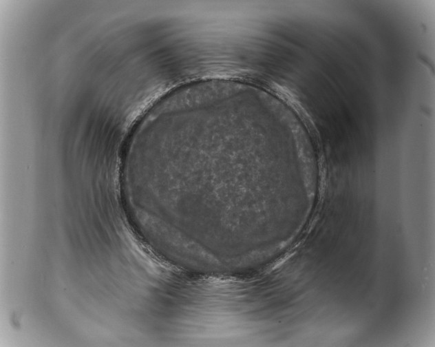 X0000099490346200806051104