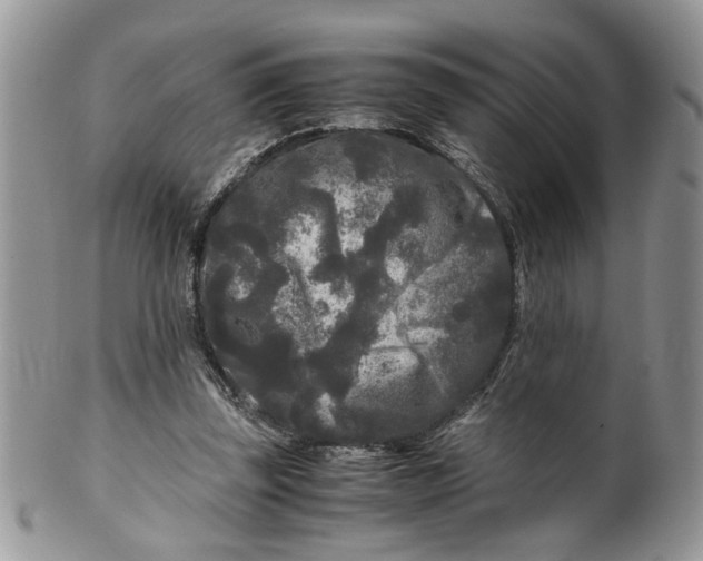 X0000099490347200806051104