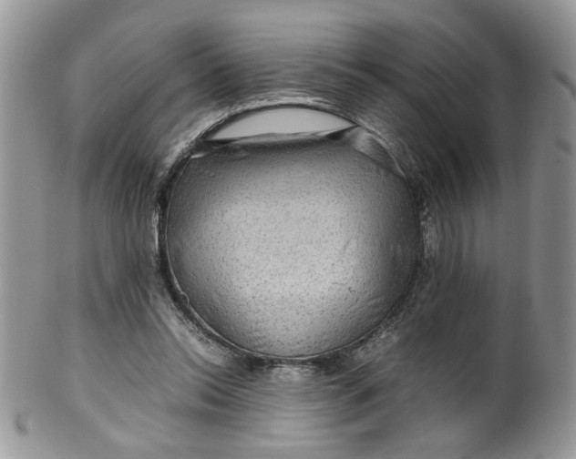 X0000099490350200806051104