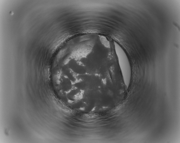 X0000099490351200806051104