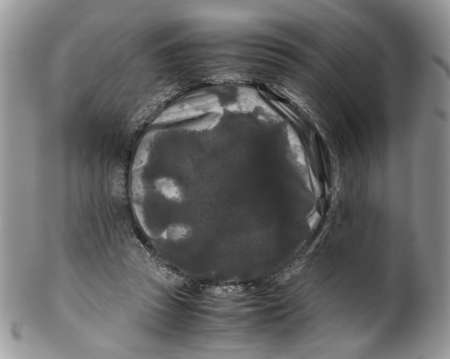 X0000099490353200806051104