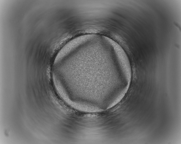 X0000099490354200806051104