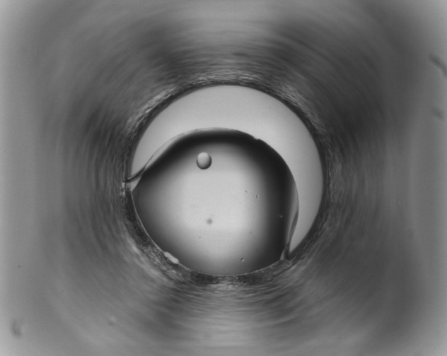 X0000099490356200806051104