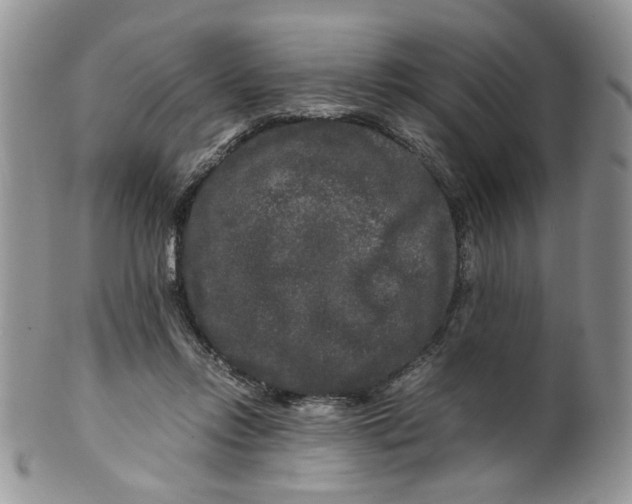 X0000099490358200806051104