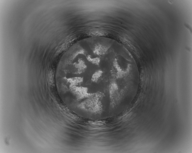 X0000099490359200806051104