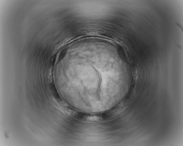 X0000099490360200806051104