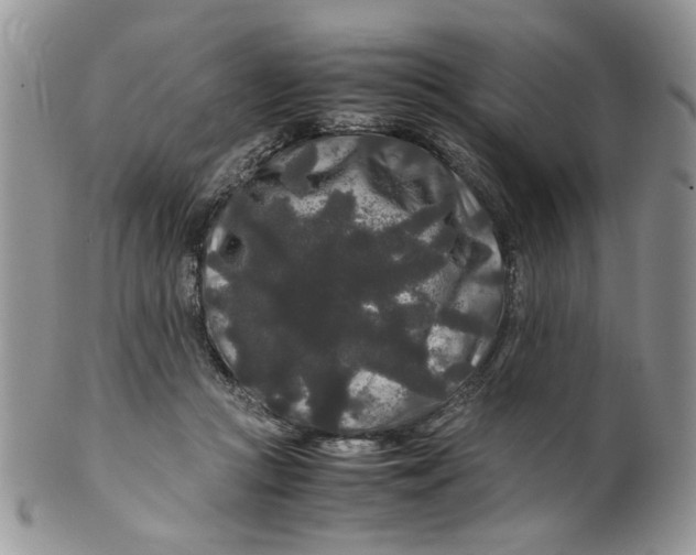 X0000099490361200806051104