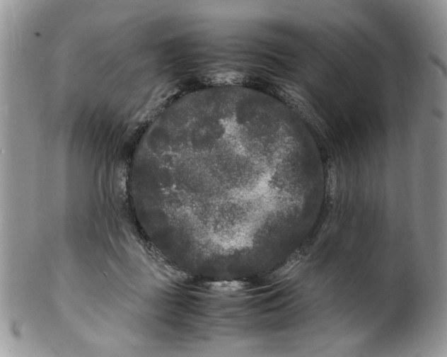 X0000099490363200806051104