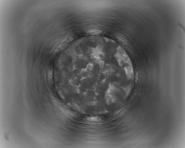 X0000099490365200806051104