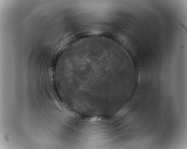 X0000099490366200806051104