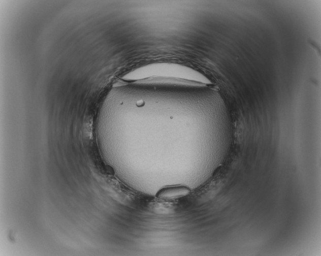 X0000099490368200806051104