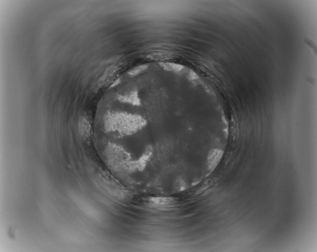 X0000099490371200806051104