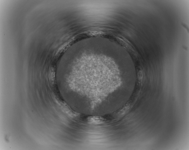 X0000099490372200806051104