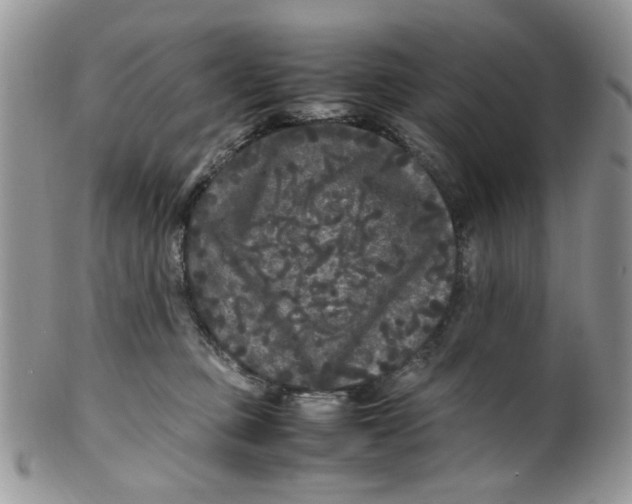 X0000099490373200806051104