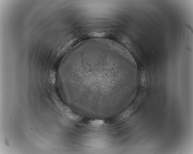 X0000099490374200806051104