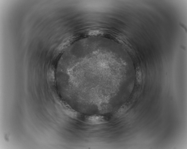 X0000099490375200806051104