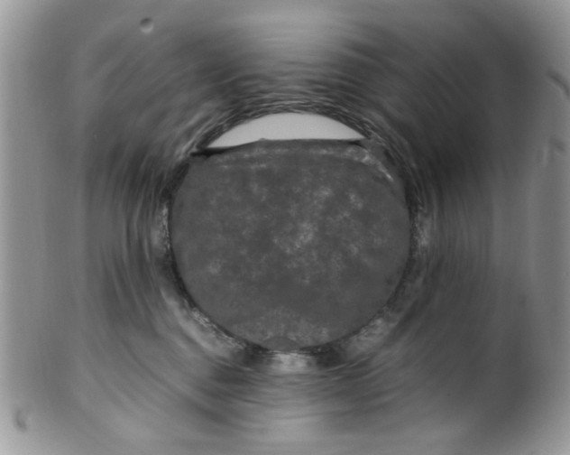 X0000099490376200806051104