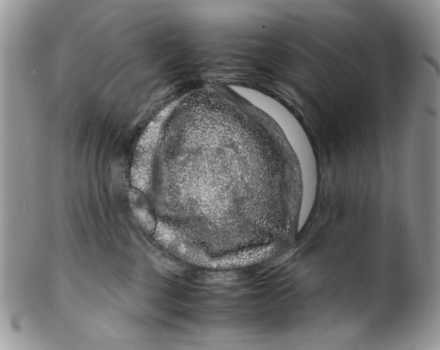 X0000099490377200806051104