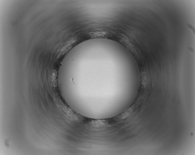 X0000099490378200806051104