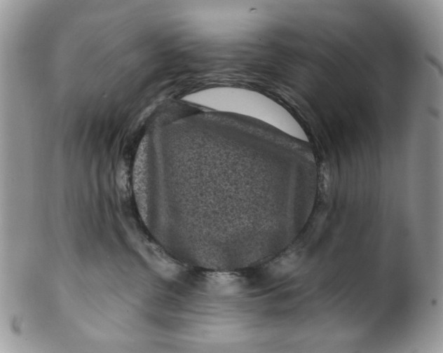 X0000099490380200806051104