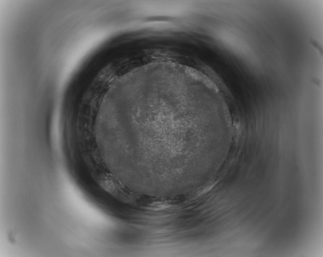 X0000099490381200806051104