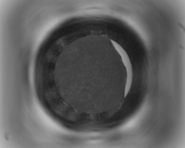 X0000099490383200806051104