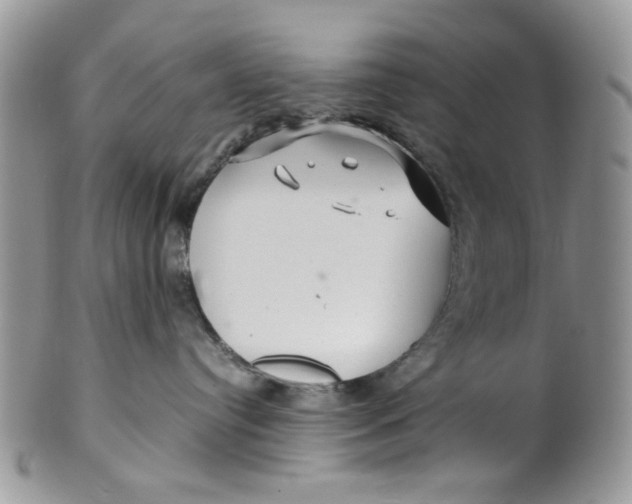 X0000099490384200806051104