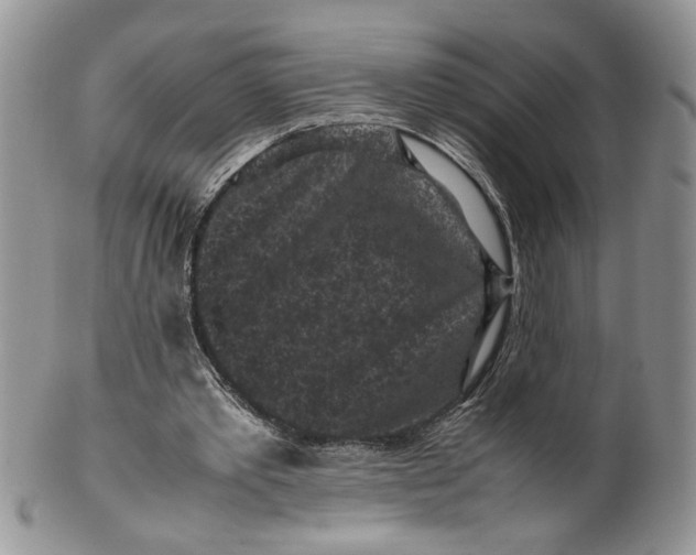 X0000099490389200806051103