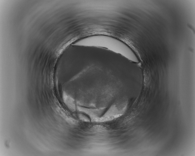 X0000099490390200806051103