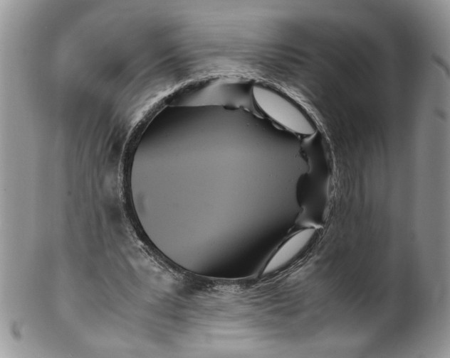 X0000099490391200806051103