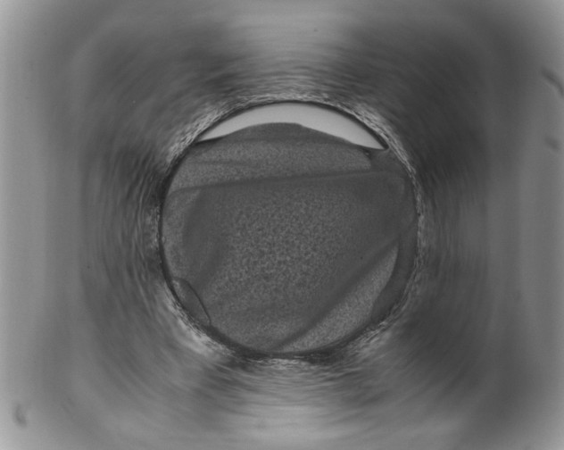 X0000099490393200806051103