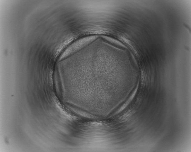 X0000099490394200806051103