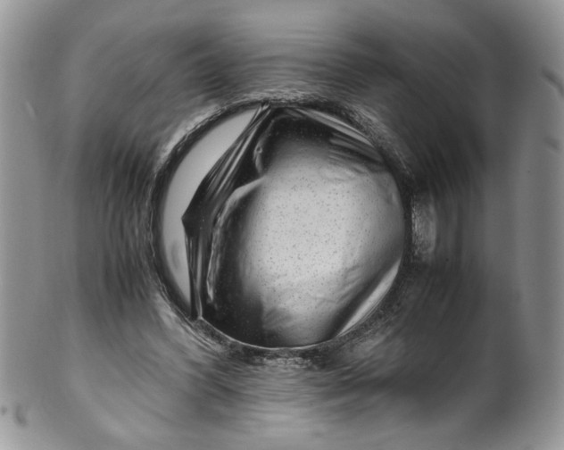 X0000099490396200806051103