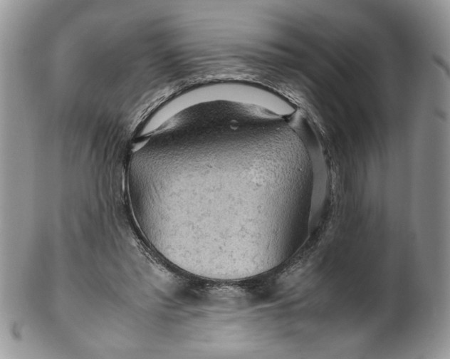 X0000099490397200806051103